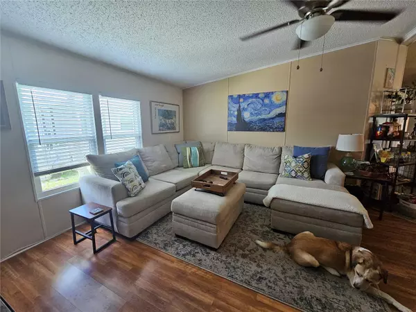 Oldsmar, FL 34677,466 TROUT LN