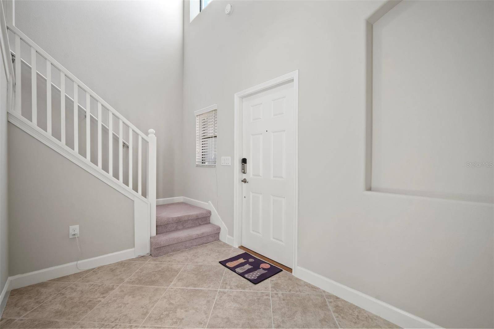 Wesley Chapel, FL 33543,1653 LUDINGTON AVE