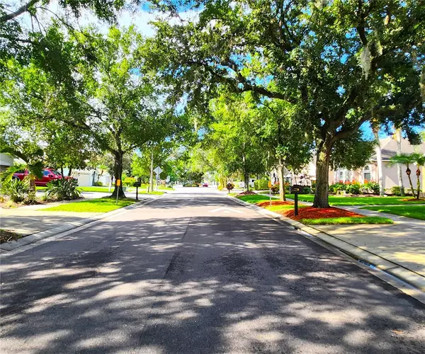 Odessa, FL 33556,15008 ARBOR HOLLOW DR