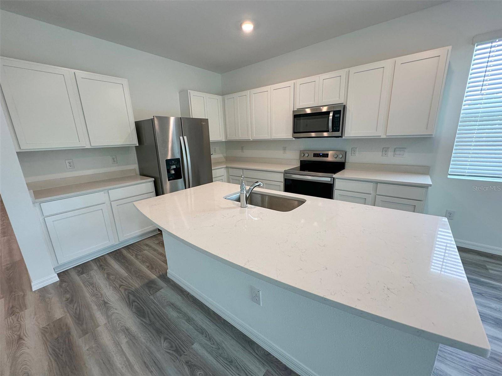 Land O Lakes, FL 34638,11393 VELVET APRICOT DR