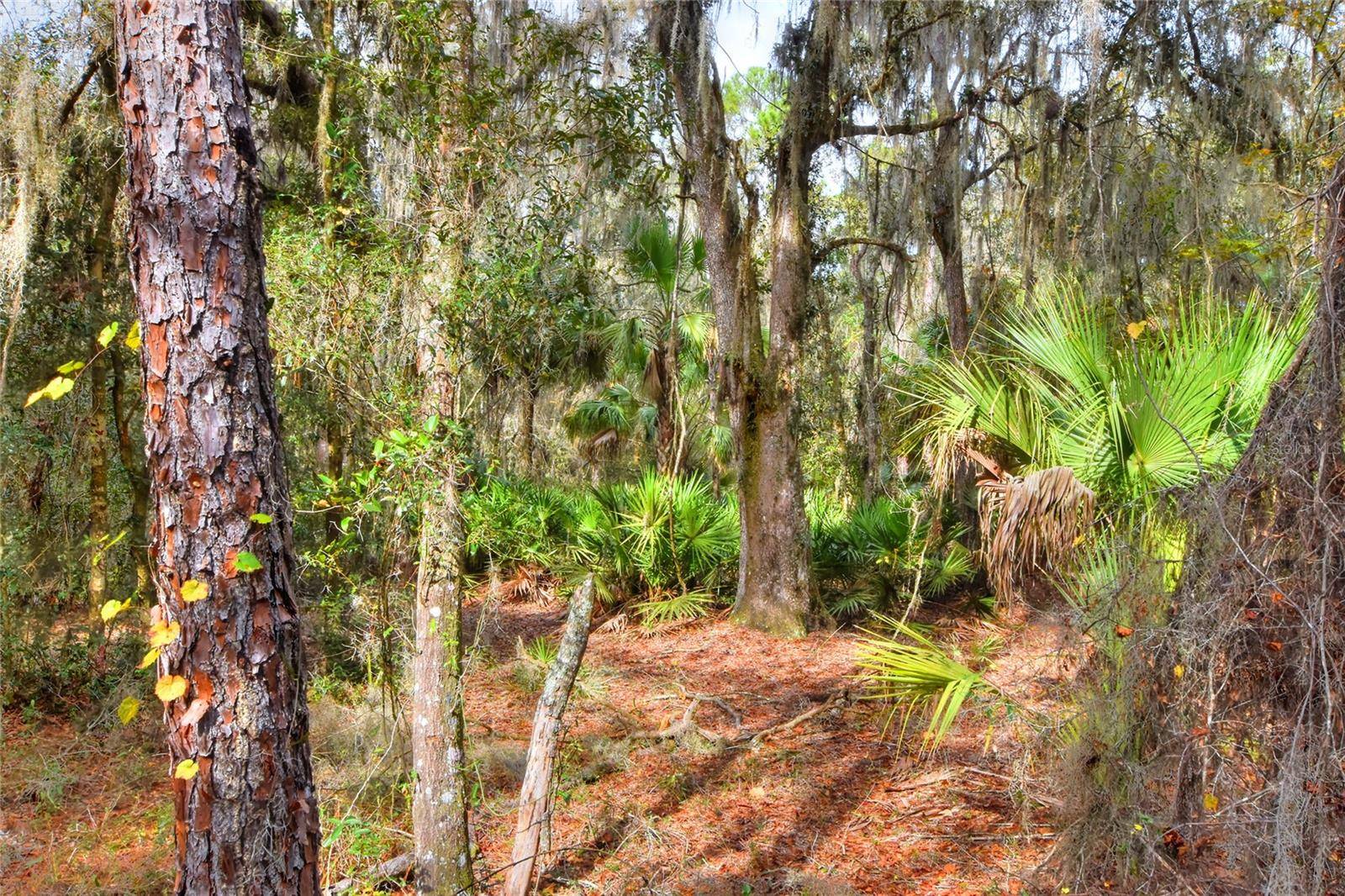 Lithia, FL 33547,0 KEYSVILLE RD