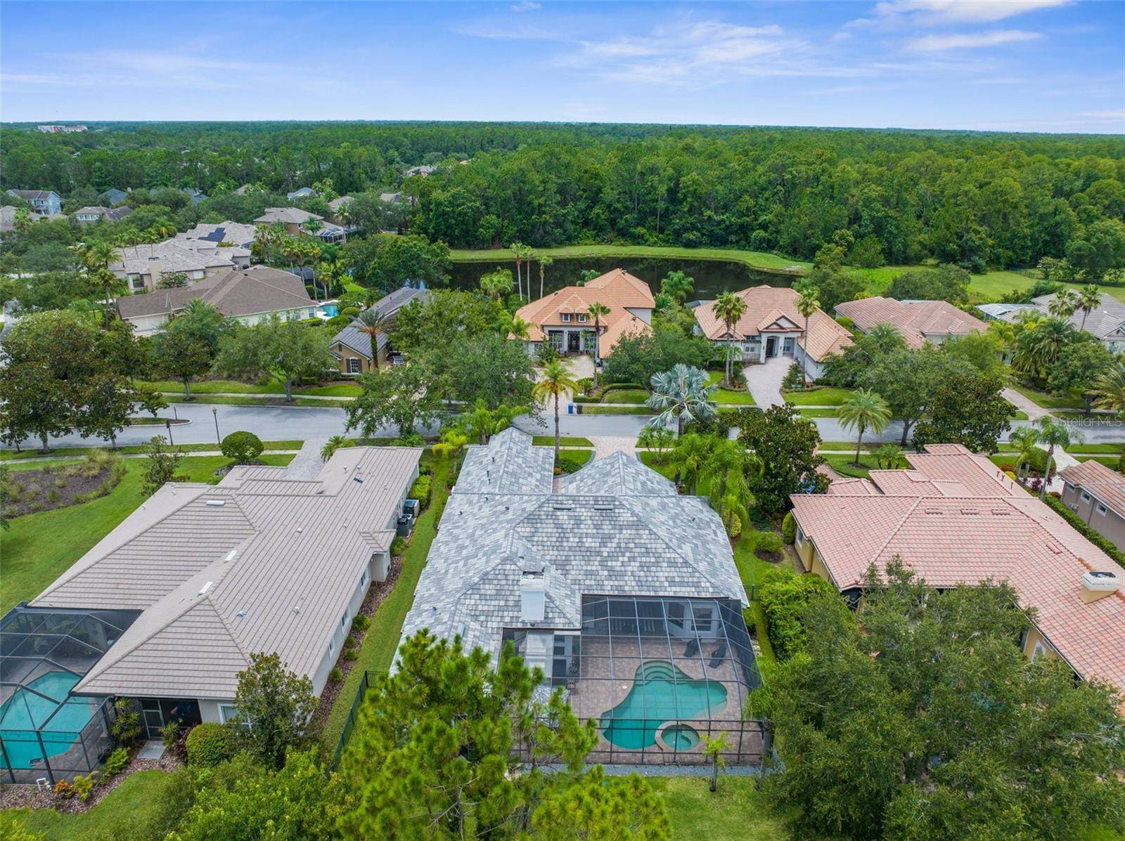 Tampa, FL 33626,14705 CASTELLETTO DR