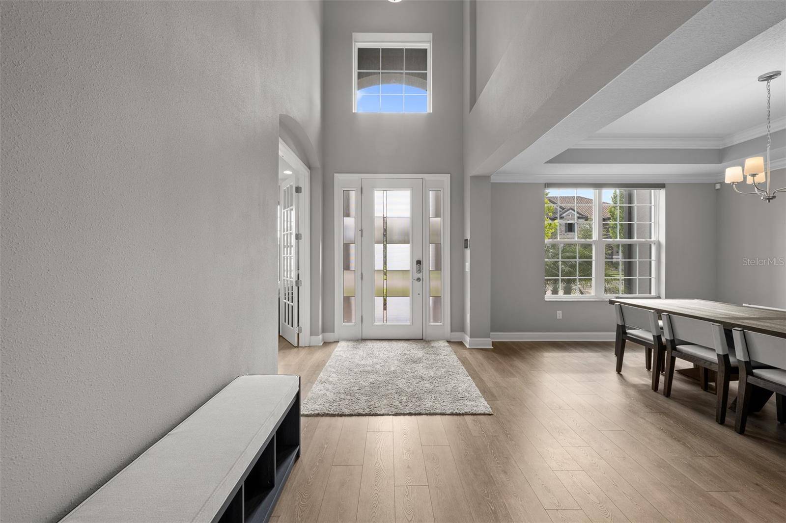 Wesley Chapel, FL 33545,7074 GRAYBROOK DR