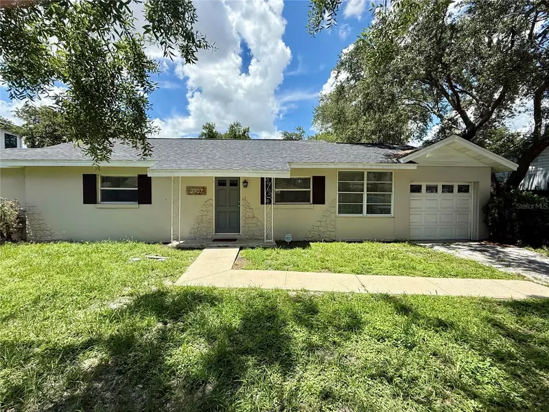 3907 W MULLEN AVE, Tampa, FL 33609