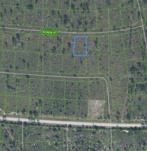 Sebring, FL 33872,7811 RONDA ST