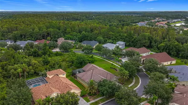 Tampa, FL 33647,20626 LONGLEAF PINE AVE