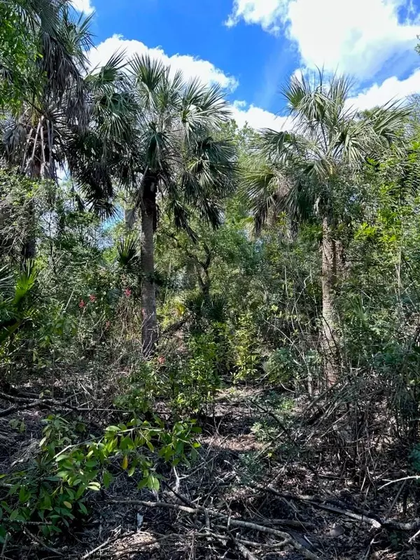 Punta Gorda, FL 33982,7022 RIVERSIDE DR