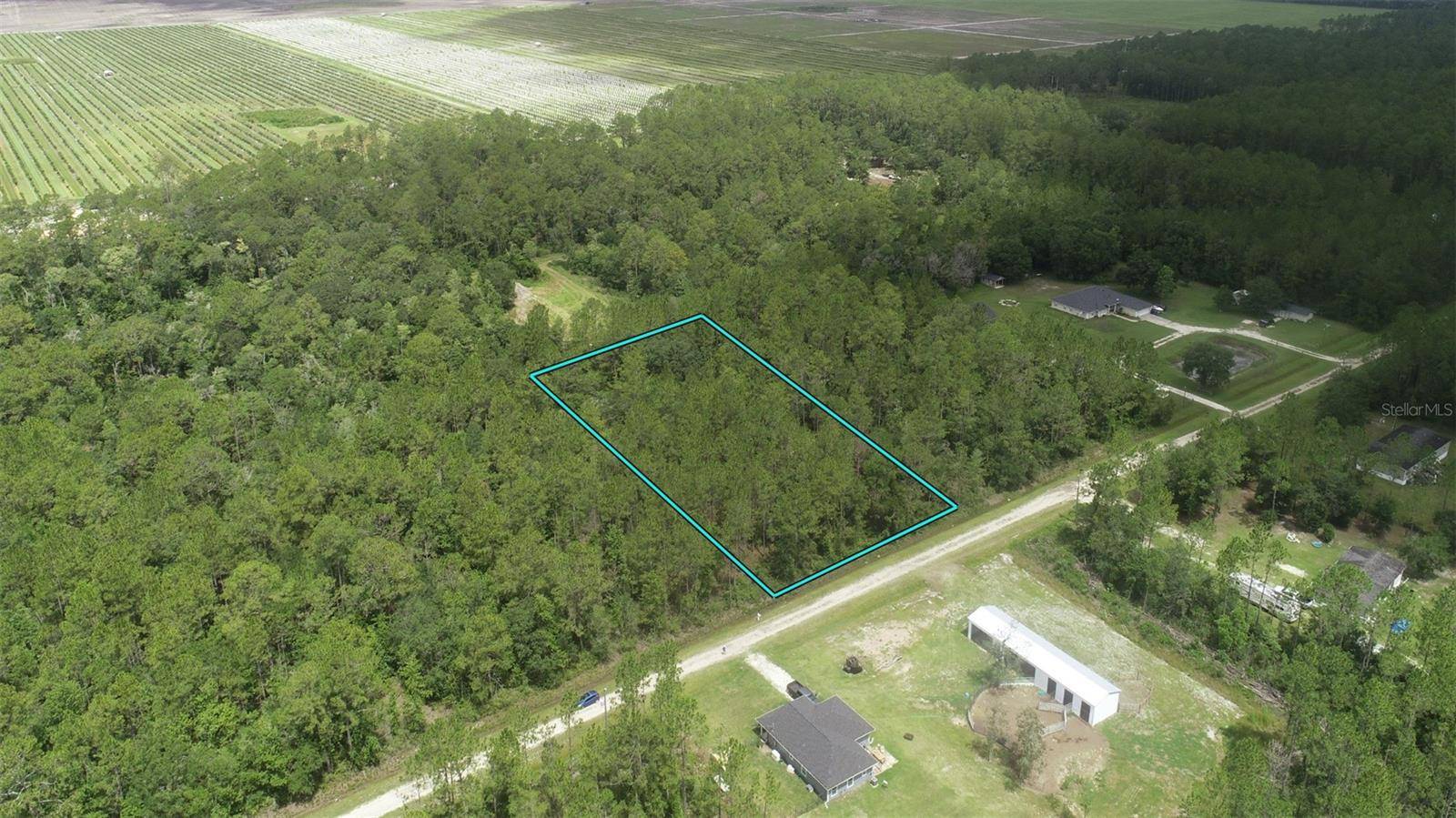 Hastings, FL 32145,10325 GREGORY AVE