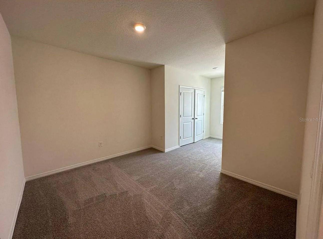 Wesley Chapel, FL 33545,32228 TURTLE GRACE LOOP