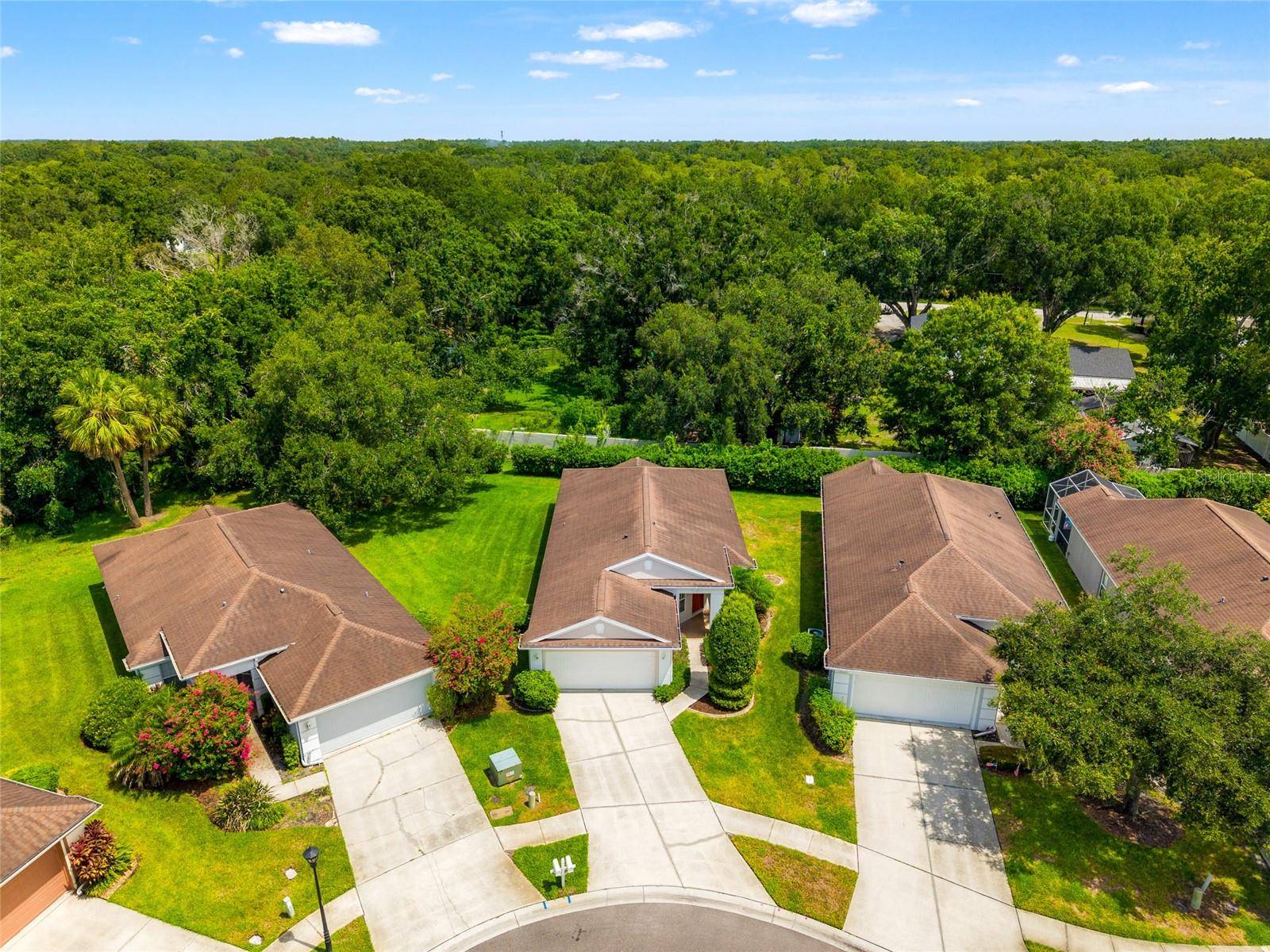 Wesley Chapel, FL 33544,26315 WHIRLAWAY TER