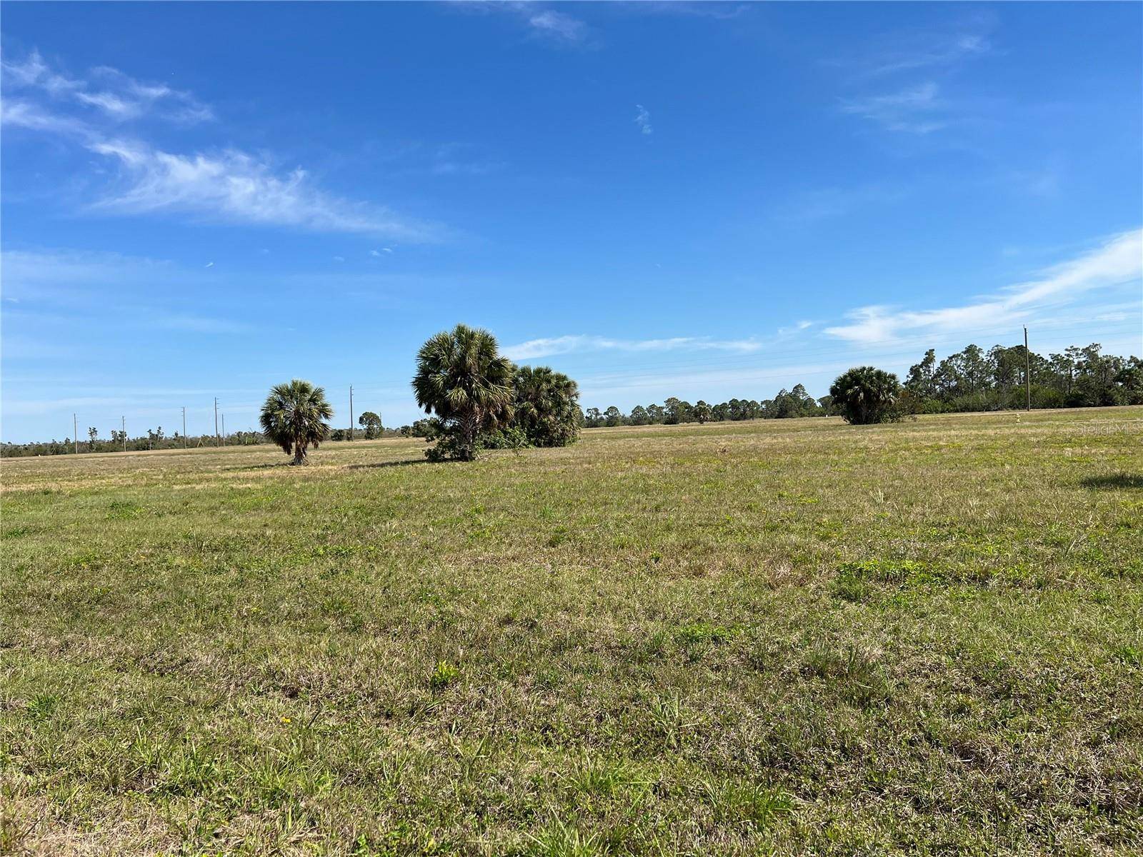 Placida, FL 33946,12360 GREENLING WAY
