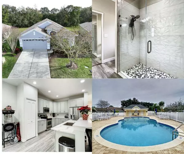 2841 BANYAN HILL LN, Land O Lakes, FL 34639