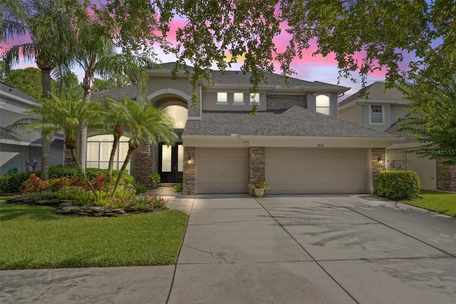 11639 RENAISSANCE VIEW CT, Tampa, FL 33626