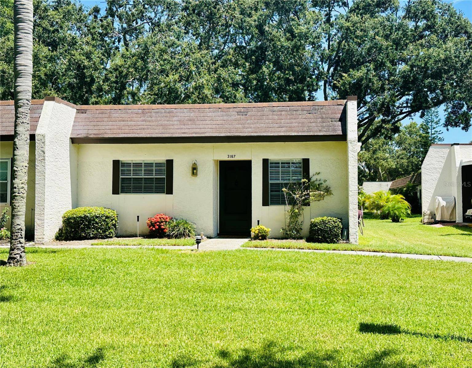 3167 MISSION GROVE DR, Palm Harbor, FL 34684