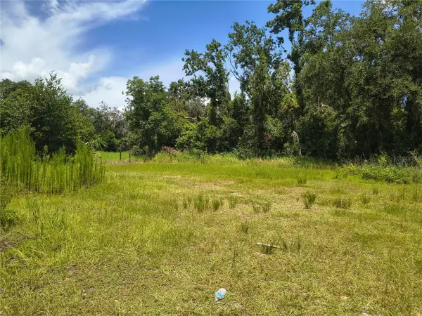 Plant City, FL 33567,WILLIE WHITE LN