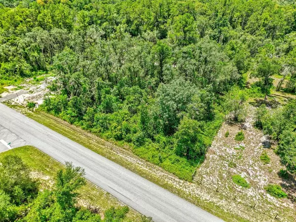 Webster, FL 33597,N CANAL ST
