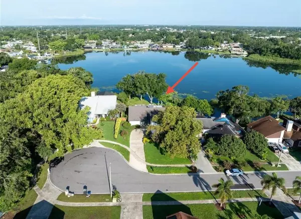 Tampa, FL 33614,8304 PALMA VISTA LN