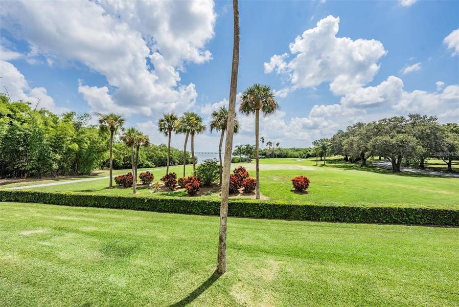 2616 COVE CAY DR #203, Clearwater, FL 33760