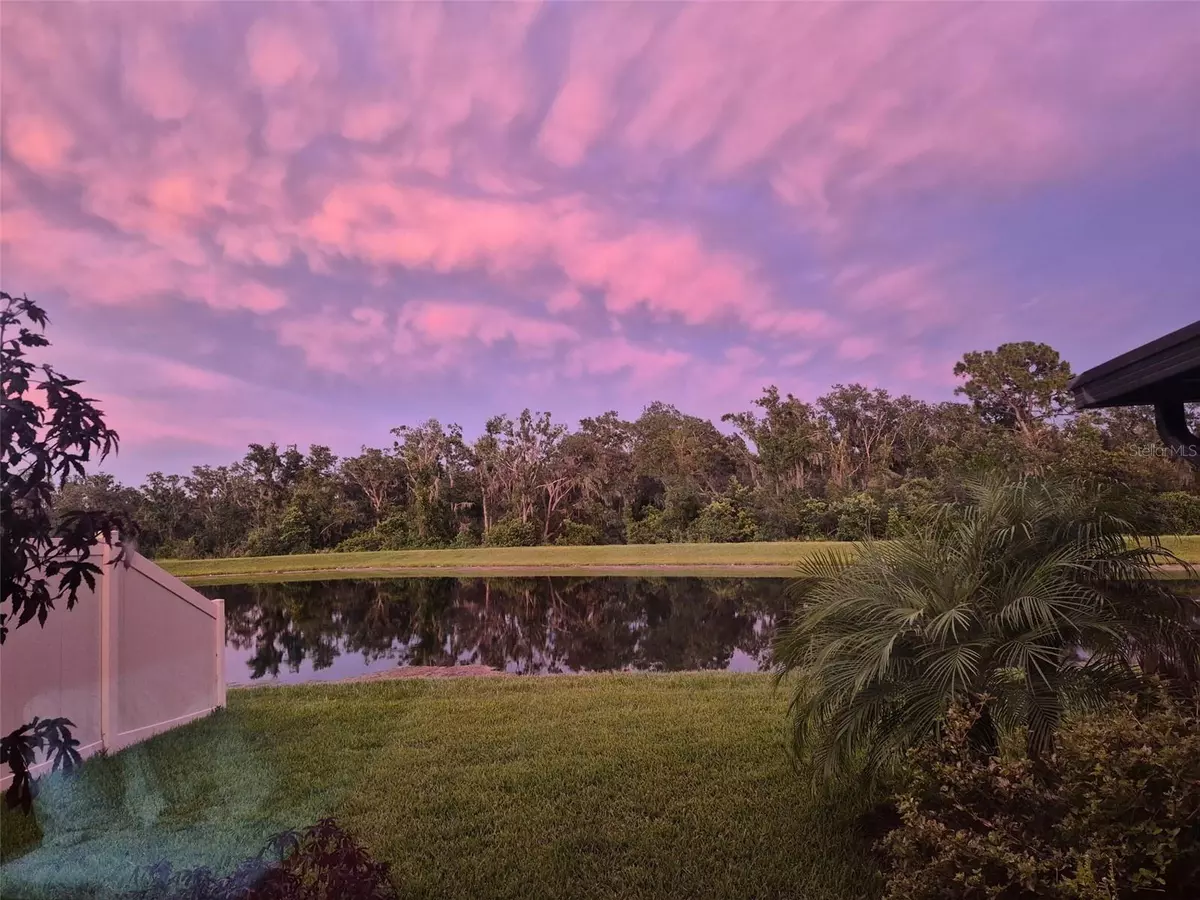 Wimauma, FL 33598,17218 WHITE MANGROVE DR