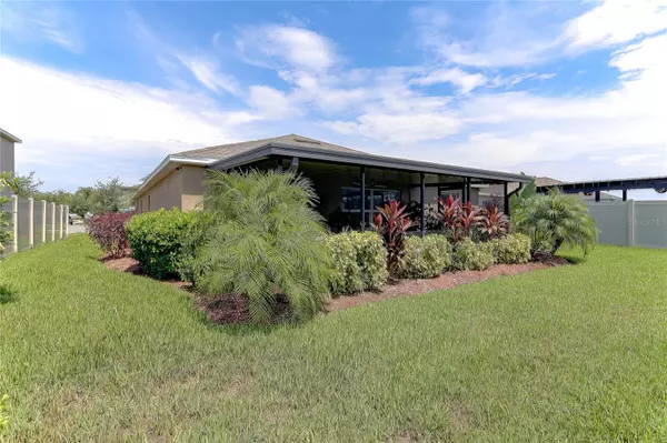 Wimauma, FL 33598,17218 WHITE MANGROVE DR
