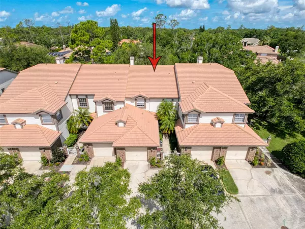 1292 CLAYS TRL, Oldsmar, FL 34677