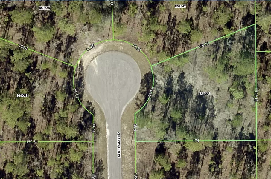 QUARRY HOLW, Brooksville, FL 34614