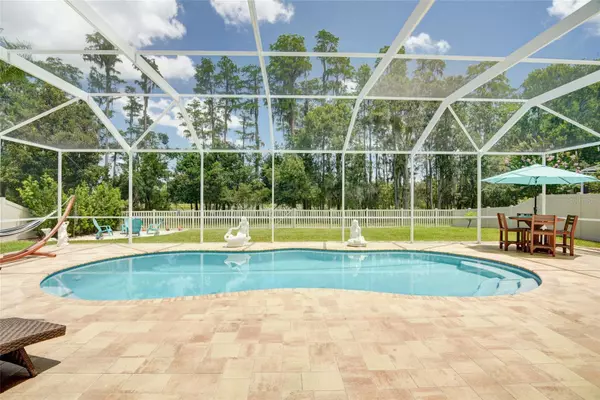 Land O Lakes, FL 34637,21511 WILDERNESS LAKE BLVD