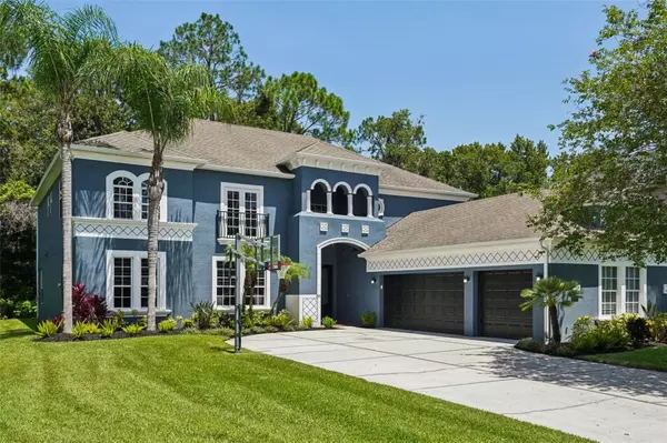 3511 LOGGERHEAD WAY, Wesley Chapel, FL 33544