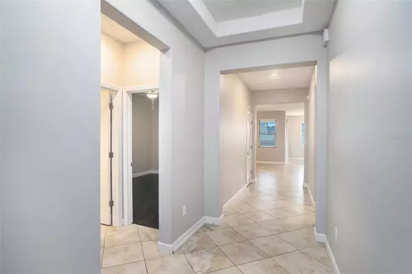 Riverview, FL 33579,13224 SATIN LILY DR