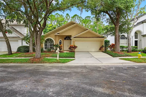 Tampa, FL 33647,17728 LONG RIDGE RD