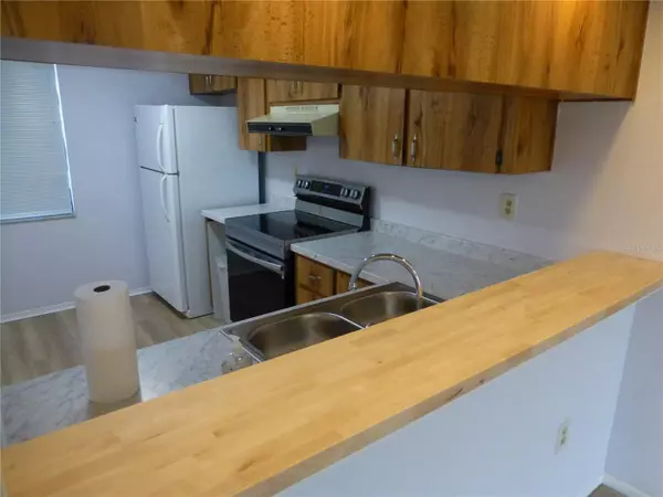 Oldsmar, FL 34677,114 LAKESIDE DR #14