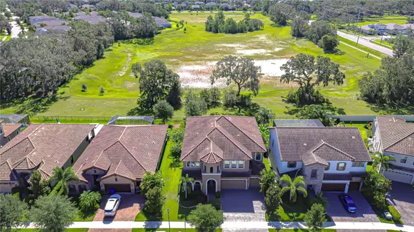 Riverview, FL 33569,11350 HAWKS FERN DR