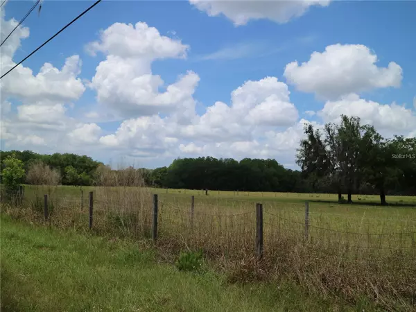 Odessa, FL 33556,11819 TARPON SPRINGS RD