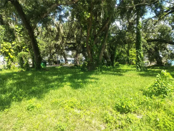 Brandon, FL 33511,113 E ROBERTSON ST
