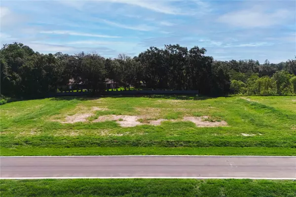 Odessa, FL 33556,19319 DIMPLE DR