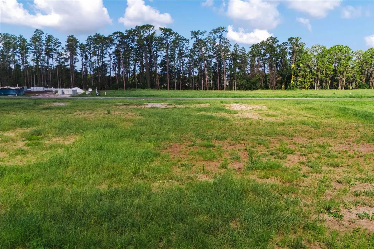 Odessa, FL 33556,19319 DIMPLE DR