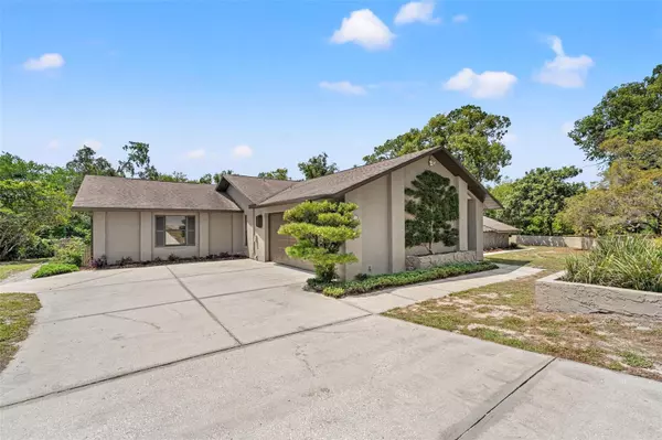 Spring Hill, FL 34608,6230 DORSET RD