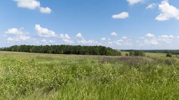 Dade City, FL 33523,36365 FRAZEE HILL RD