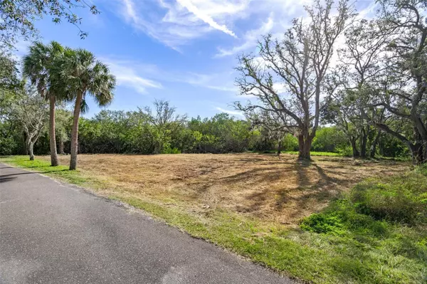 Safety Harbor, FL 34695,IRWIN ST E