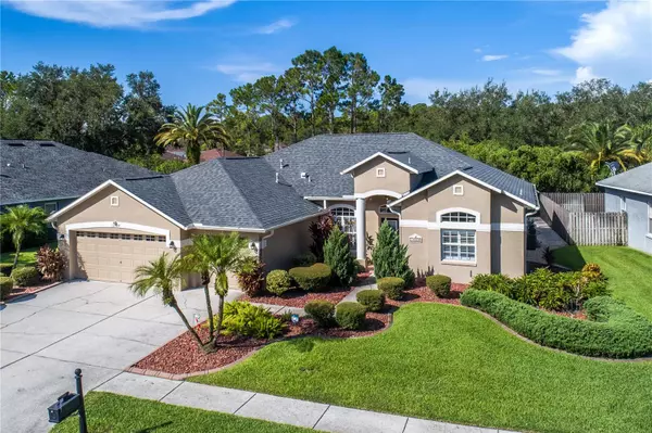 Tampa, FL 33626,12524 LEATHERLEAF DR