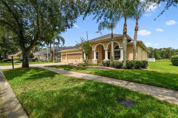 Tampa, FL 33647,9311 MANGROVE CT