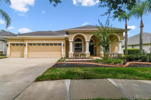 Tampa, FL 33647,9311 MANGROVE CT