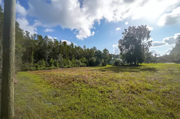 Wesley Chapel, FL 33544,26305 BLUESTRIPE DR