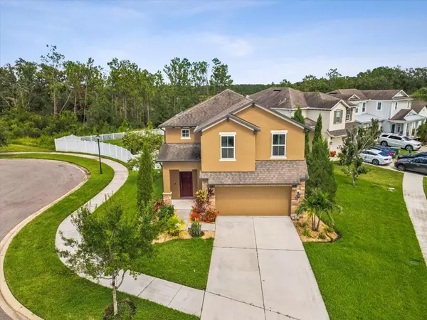 Wesley Chapel, FL 33545,5274 TURTLE BAY DR
