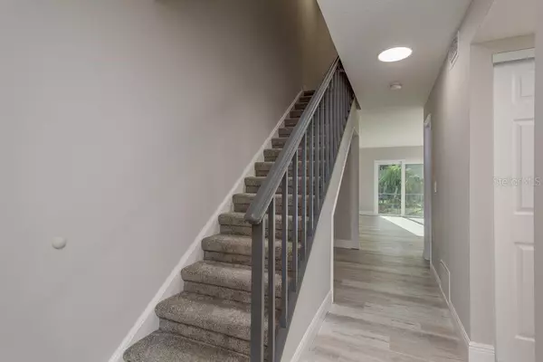 Dunedin, FL 34698,2700 BAYSHORE BLVD #531