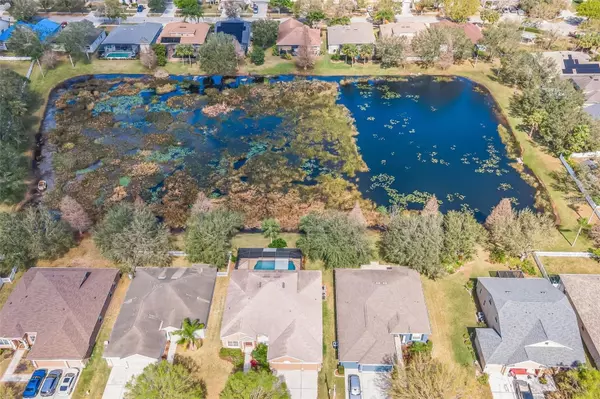 Riverview, FL 33579,11713 SUMMER SPRINGS DR