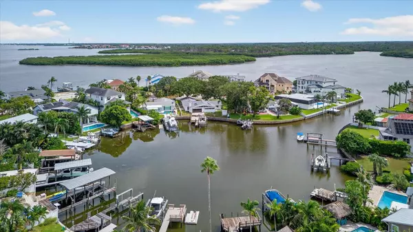 Palm Harbor, FL 34683,120 CARLYLE CIR