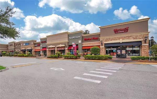 Lithia, FL 33547,15960 FISHHAWK VIEW DR