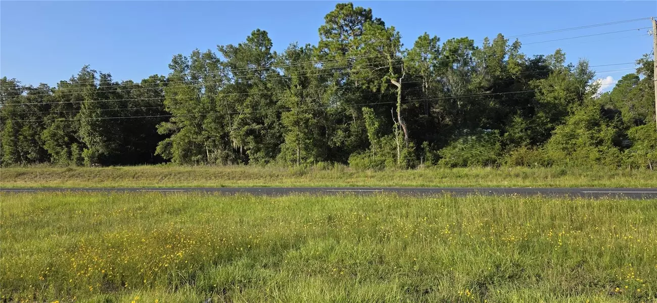 0 NE - HWY #27, Bronson, FL 32621