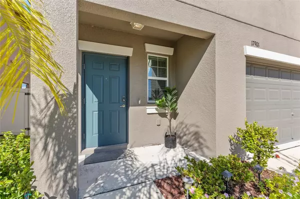 Lutz, FL 33558,17901 CLOUDLESS BLISS DR